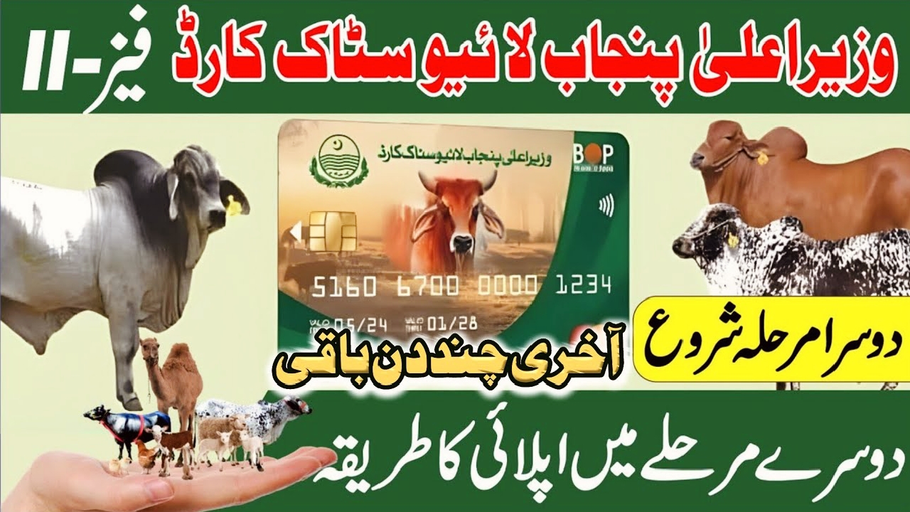 CM Punjab Livestock Card Scheme