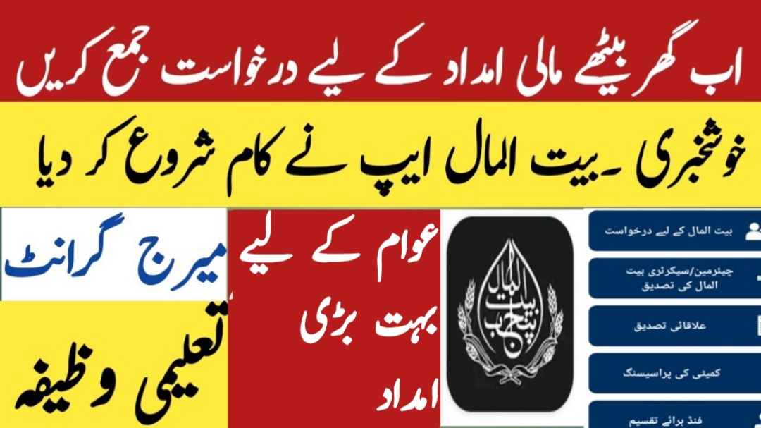 Financial Help from Punjab Bait-ul-Maal